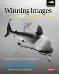 Winning Images with Any Underwater Camera: The Essential Guide to Creating Engaging Photos