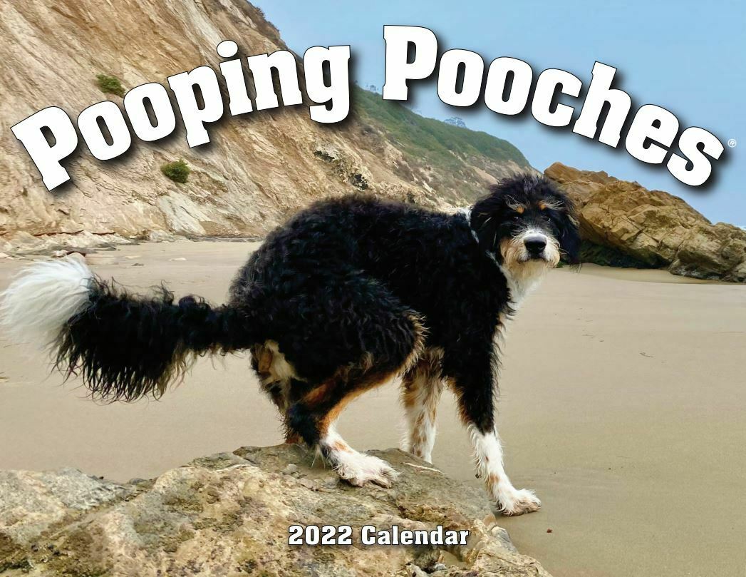 2022 Pooping Pooches Dog Calendar, White Elephant Gag Gift Exchange Yankee Swap